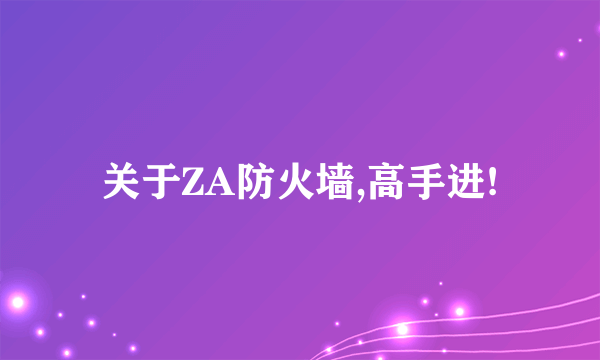 关于ZA防火墙,高手进!