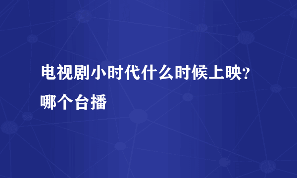 电视剧小时代什么时候上映？哪个台播
