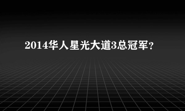 2014华人星光大道3总冠军？