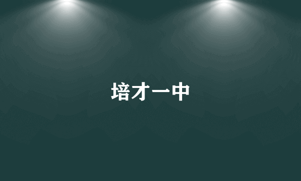 培才一中