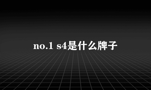 no.1 s4是什么牌子
