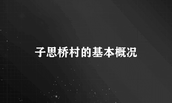 子思桥村的基本概况
