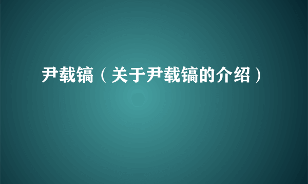 尹载镐（关于尹载镐的介绍）