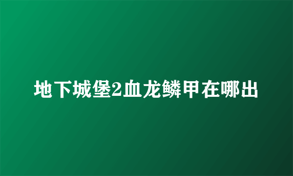 地下城堡2血龙鳞甲在哪出