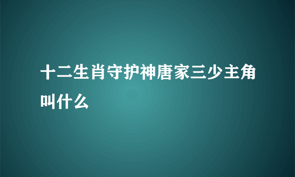 十二生肖守护神唐家三少主角叫什么