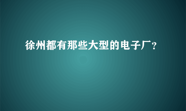 徐州都有那些大型的电子厂？