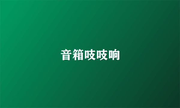 音箱吱吱响