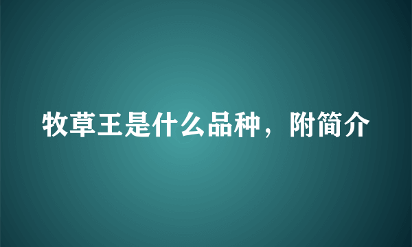 牧草王是什么品种，附简介