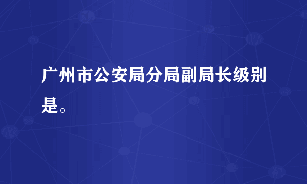 广州市公安局分局副局长级别是。