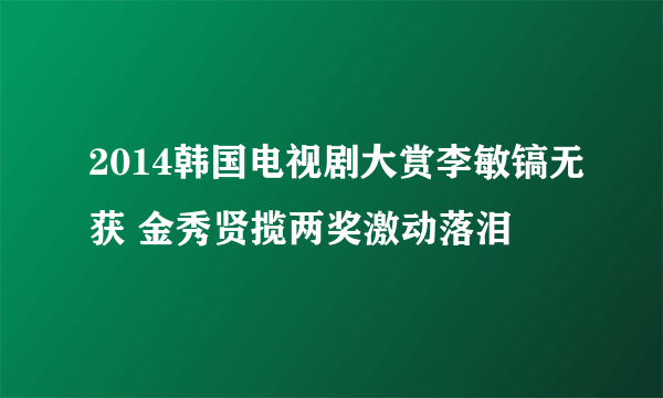 2014韩国电视剧大赏李敏镐无获 金秀贤揽两奖激动落泪