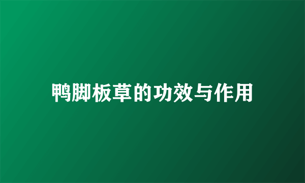 鸭脚板草的功效与作用