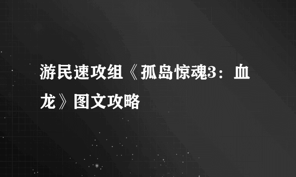 游民速攻组《孤岛惊魂3：血龙》图文攻略