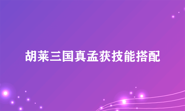 胡莱三国真孟获技能搭配