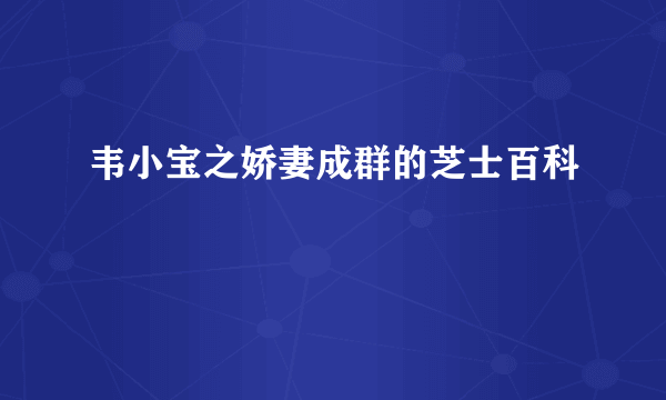 韦小宝之娇妻成群的芝士百科