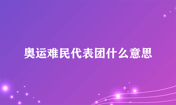 奥运难民代表团什么意思
