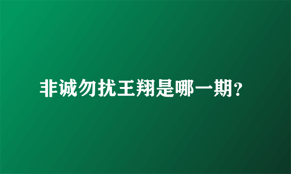 非诚勿扰王翔是哪一期？