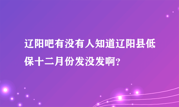 辽阳吧有没有人知道辽阳县低保十二月份发没发啊？