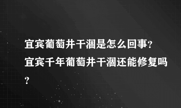 宜宾葡萄井干涸是怎么回事？宜宾千年葡萄井干涸还能修复吗？