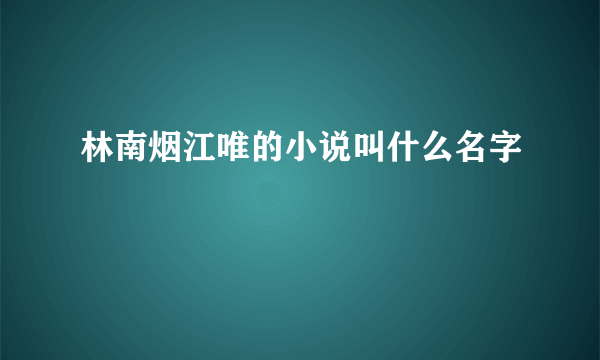 林南烟江唯的小说叫什么名字