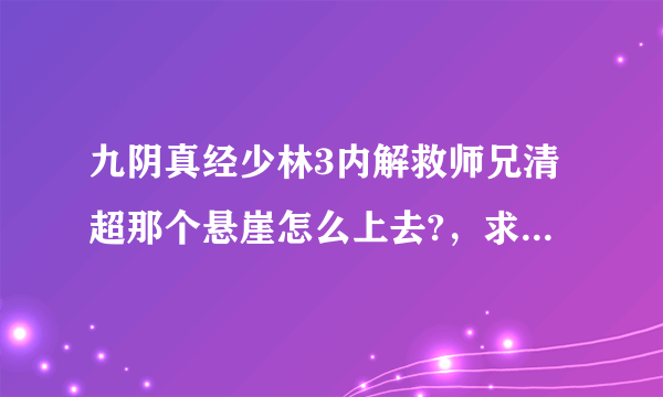 九阴真经少林3内解救师兄清超那个悬崖怎么上去?，求具体方法...