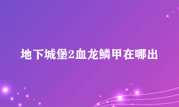 地下城堡2血龙鳞甲在哪出