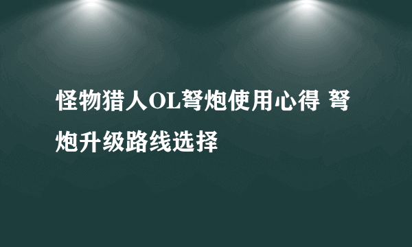 怪物猎人OL弩炮使用心得 弩炮升级路线选择