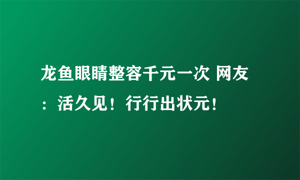 龙鱼眼睛整容千元一次 网友：活久见！行行出状元！