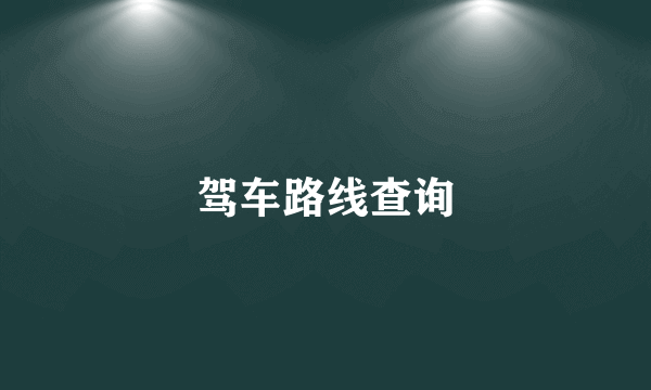 驾车路线查询