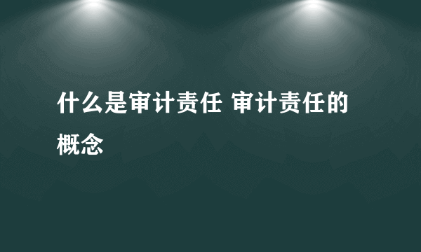 什么是审计责任 审计责任的概念