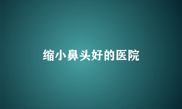 缩小鼻头好的医院