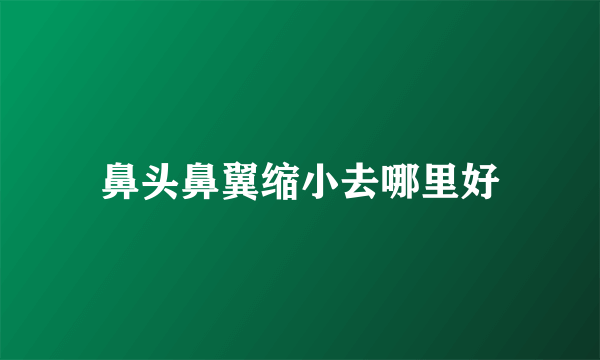 鼻头鼻翼缩小去哪里好