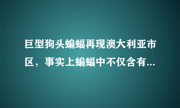 巨型狗头蝙蝠再现澳大利亚市区，事实上蝙蝠中不仅含有新型冠状病毒-飞外网