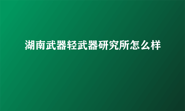 湖南武器轻武器研究所怎么样