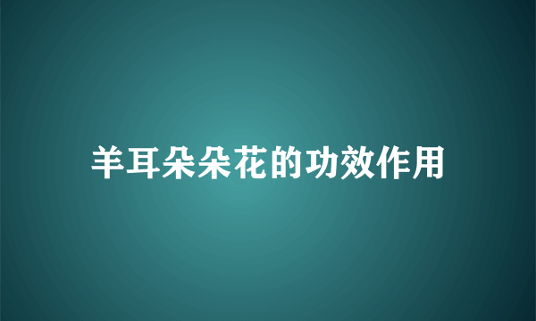 羊耳朵朵花的功效作用