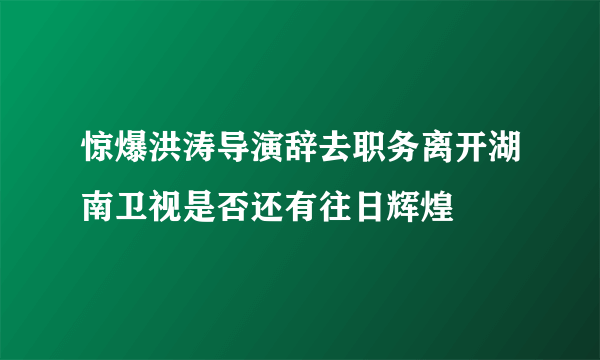 惊爆洪涛导演辞去职务离开湖南卫视是否还有往日辉煌