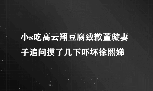 小s吃高云翔豆腐致歉董璇妻子追问摸了几下吓坏徐熙娣