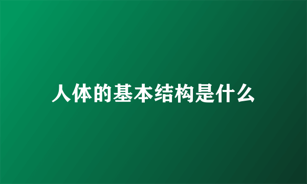 人体的基本结构是什么