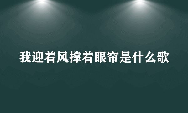 我迎着风撑着眼帘是什么歌